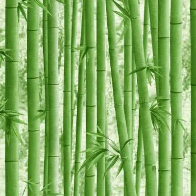 Immagine prodotto di BUVU Carta da parati in vinile, 0,53 x 10 m, motivo floreale, design moderno in bambù, lavabile, verde
