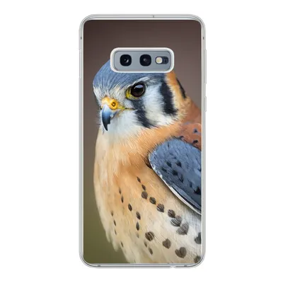 Produktbild von MuchoWow® Handyhülle Schutzhülle Hülle für Samsung Galaxy S10e Vogel - Makro - Blau Silikon Softcase Handy Hülle - Handy