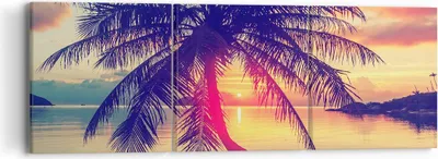 Produktbild von Bild auf Leinwand - Leinwandbild - Meer Strand Palme - 90x30cm - Wand Bild - Wanddeko - Wandbilder - Leinwanddruck - Bilder - Kunstdruck - Wanddekoration - Leinwand bilder - Wandkunst - CA90x30-3925