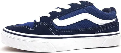 A side view of a navy blue Vans shoe against a white background.