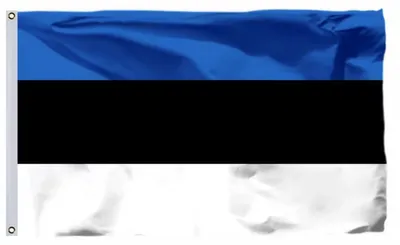 Immagine prodotto di Bandiera estone – Bandiera dell'Estonia – 150/90 cm – Blu, nero e bianco – Bandiera nazionale – Campionato mondiale – Campionato europeo – Poliestere – Campionati nazionali