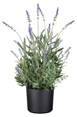 Produktbild von Künstlicher Lavendel im Topf H. 50cm grün lila GASPER Kunstblumen