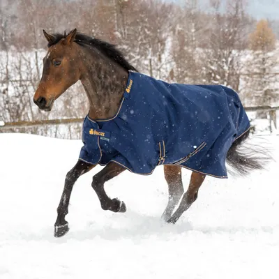 Immagine prodotto di Bucas Outdoordecke 300g Irish Turnout Weidedecke Navy/Gold 115
