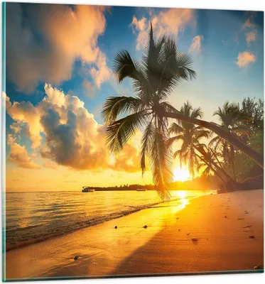 Produktbild von Bilder auf glas - Meer Strand Palme - 30x30cm - Glasbilder - Wandbilder - Kunstdruck - zum Aufhängen bereit - Wanddekoration aus Glas - Glas Bilder - Wandbild auf Glas - Einteilig - GAC30x30-3922