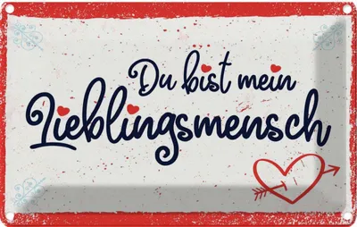 Produktbild von vianmo Blechschild 20x30 cm du bist mein Lieblingsmensch Spruch Zitat