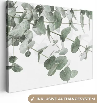 Obrázok produktu pre MuchoWow® - Plátno - Eukalyptus - Listy - Príroda - Zelená, nástenná maľba, nástenné dekorácie obrazy obývacia izba, 40x30cm