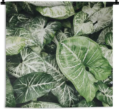 Produktbild von MuchoWow® Wandteppich Wandbehang Blätter - Pflanzen - Natur 90x90 cm Tapisserie Dekoration Wandtuch - Wandaufhänger