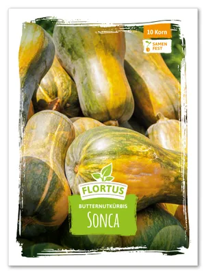 Produktbild von Butternutkürbis Sonca | Butternutkürbissamen von FLORTUS