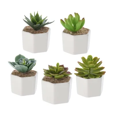 Zdjęcie produktu dla Sztuczny sukulent w doniczce 6,5 x 10 cm