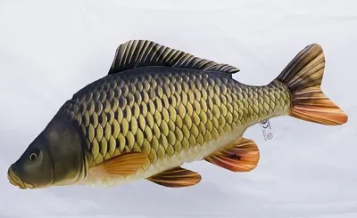 Produktbild von Gaby Kuscheltier Schuppenkarpfen Giant