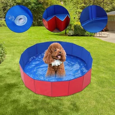 Produktbild von Hundebad 60 x 20 cm - Faltbar und Antislip für kleine Hunde und Katzen