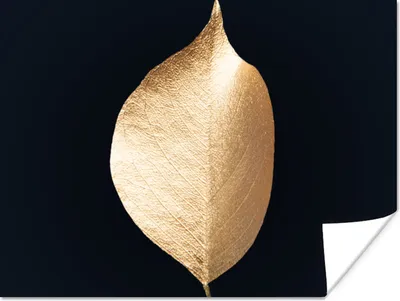 Produktbild von MuchoWow® Poster Blätter - Gold - Schwarz - Pflanzen - Luxus 120x90 cm - Wandbild