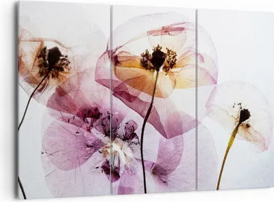Produktbild von Bild auf Leinwand - Leinwandbild - blume sommer natur - 165x110cm - Wand Bild - Wanddeko - Leinwanddruck - Bilder - Kunstdruck - Wanddekoration - Leinwand bilder - Wandkunst - CE165x110-3821