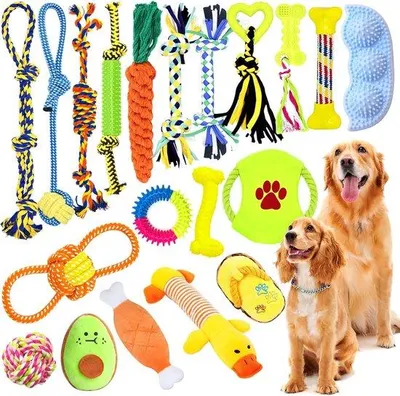 Immagine prodotto di Set di giocattoli per cani, 20 pezzi, cotone naturale