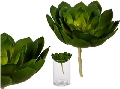 Obrázek produktu pro Dekorativní rostlina Ibergarden YD180138 Plastové