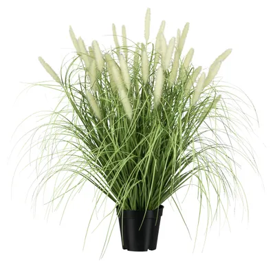 Produktbild von CREATIV green künstliches Ziergras 65cm im Topf, naturgetreues künstliches Pennisetum-Gras