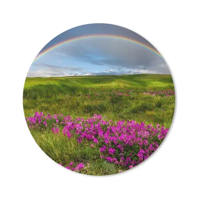 Produktbild von MuchoWow® Mauspad Mousepad Regenbogen - Blumen - Heidekraut 50x50 cm - Mousepads - Maus Mat - Pad - Mausunterlage - Vinyl