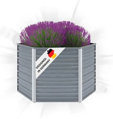 A hexagonal raised garden bed filled with purple plants, set against a white background with radiating lines.