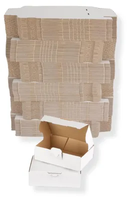 Produktbild von Maxibriefkarton DIN A6 - 160 x 110 x 50 mm / DHL Kleinpaket, weiß 300 Stück