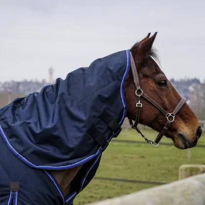 Produktbild von Equithème Classic 1200D 0g Halsteil - Größe Warmblut