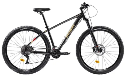 Produktbild von MTB-Hardtail, Pegas Drumet Pro M 29 Zoll, Grau