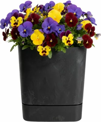 Image de HowHomely | Cache-pot - Pot de fleurs avec soucoupe - noir - 25 x 25 cm - en matériau recyclé - Jardinière - Bac à fleurs