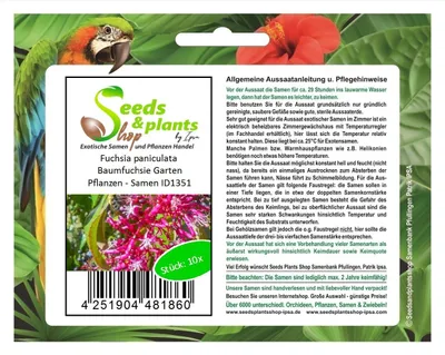 Produktbild von 10x Fuchsia paniculata Baumfuchsie Garten Pflanzen - Samen ID1351