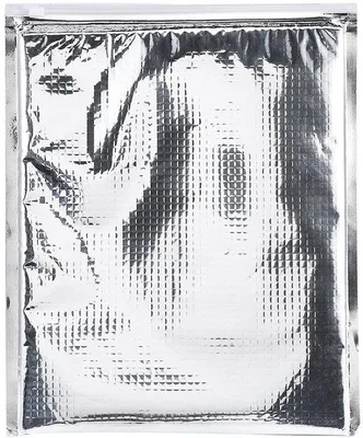 Image de Sacs isothermes pour aliments avec fermeture à glissière, lot de 5 sacs isothermes, boîtes à lunch isothermes de 30 x 35 cm