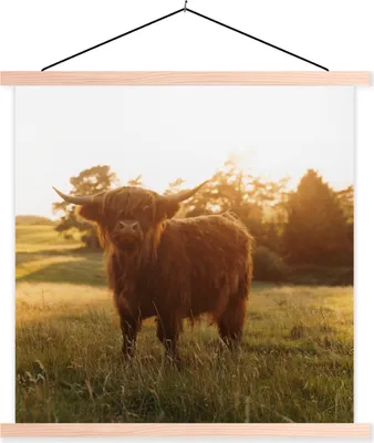 Produktbild von MuchoWow® Textilposter Schottisches Hochlandrind - Gras - Sonne 120x120 cm mit holzfarbenen Rahmen - Textil-Poster