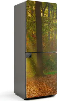 Obrázok produktu pre Očarujúca lesná krajina - Magnetický kryt na chladničku - Dekoratívna magnetická fólia do kuchyne - Magnetický dekor na chladničku - Samolepiaca magnetická tabuľa - Magnetická fólia na dvere chladničky - 70x190 cm