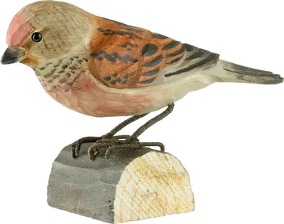Produktbild von Decobird Bluthänfling