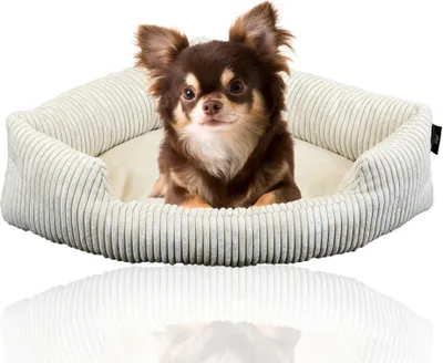 Image de Coupe-tube XXL Lit d'angle pour grands chiens | Couverture douce en velours côtelé pour coin | Grand lit pour grands chiens ou 2 chiens | Coussin pour chien en velours côtelé, grandes tailles, taille : taille 1