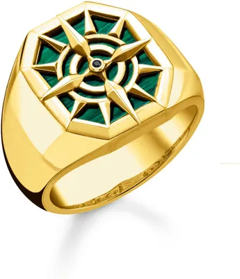 Produktbild von Thomas Sabo TR2274-140-6 Ring, Ringgröße:54