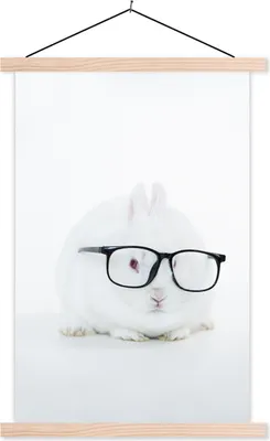 Produktbild von MuchoWow® Textilposter Kaninchen - Brille - Hipster 40x60 cm mit holzfarbenen Rahmen - Poster