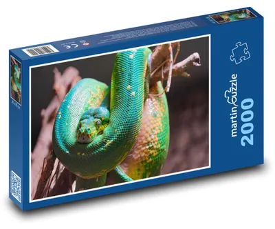 Obrázek produktu pro martinpuzzle - Puzzle 2000 - Krajta - terarium, had