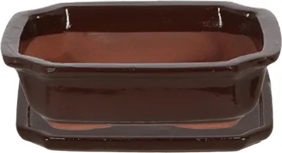 Image de Pot à bonsaï en céramique 20 x 15 x 6 cm BONSAI S brun