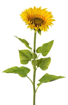 Produktbild von Kunstblume SONNENBLUME.  XL ca 110cm.