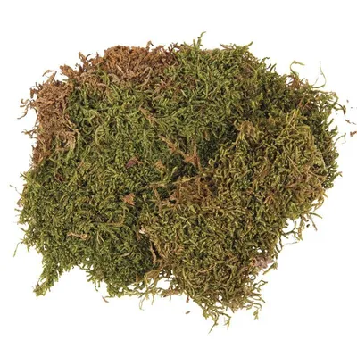 Immagine prodotto di Pannello espanso essiccato 100 g