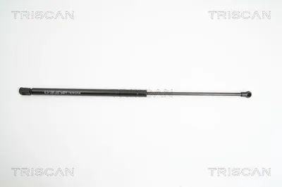 Image de Ressort à gaz pour hayon (1 pièce) 8731L0