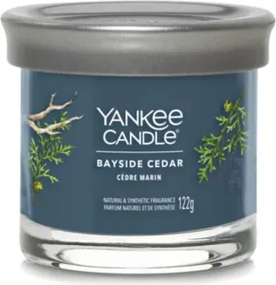 Produktbild von Yankee Candle 1744755E, Zylinder, Blau, CEDAR, 30 h, 1 Stück(e)