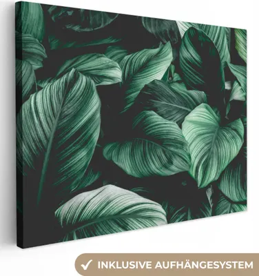 Produktbild von MuchoWow® - Leinwandbilder - Dschungel - Blätter - Tropisch - Pflanzen - Natur, Wandbild, Wanddeko Bilder Wohnzimmer, 120x90 cm