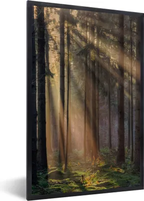 Produktbild von MuchoWow® Gerahmtes Poster Bäume - Wald - Sonne - Pflanzen 60x90 cm - Poster mit Schwarzem Bilderrahmen Wandposter Rahmen Foto Bilder - Kunst