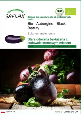 Zdjęcie produktu dla SAFLAX - Bio - Aubergine - Black Beauty - 25 Nasiona - Solanum melongena