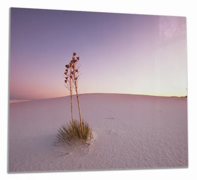 Produktbild von Wallario Herdabdeckplatte aus Glas, Größe 60 x 52 cm 1-teilig, Motiv Kleine Oase in der Wüste