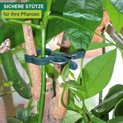 Produktbild von Windhager FIX Pflanzenclips, witterungsbeständig, für schnelle Fixierung und geraden Wuchs, 12 Stück