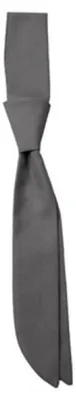 Image de CG Workwear 00150-01 | Cravate courte Siena / e Oeko-Tex 100 - Couleur : Griffin - Taille : One Size