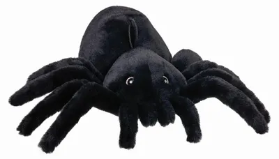 Obrázek produktu pro Plyšák pavouk Beppe ZOO, 15 cm
