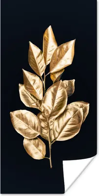 Produktbild von MuchoWow® Poster Pflanze - Blätter - Gold - Schwarz - Luxus 75x150 cm - Dekoration für die Wände