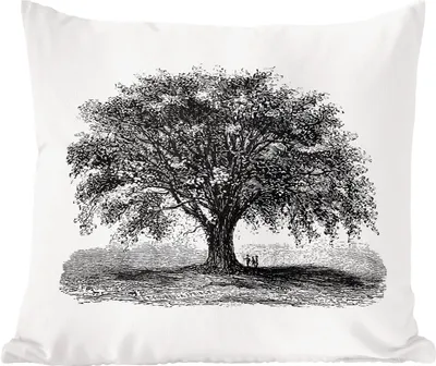 Produktbild von MuchoWow® Zierkissen Sofakissen Wohnzimmer Dekokissen 45x45 cm Jahrgang - Baum - Natur - Schlafpolster - Polster für das Sofa