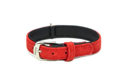 Produktbild von Nobby Halsband "VELOURS" 47 cm (38-44 cm); 22/25 mm, rot (Lollipop)